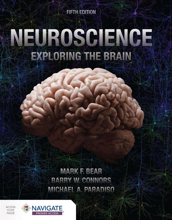 Produktbild: Neuroscience: Exploring the Brain
