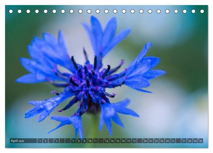 Produktbild: Feng Shui Farben - Element Wasser (Tischkalender 2026 DIN A5 quer), CALVENDO Monatskalender