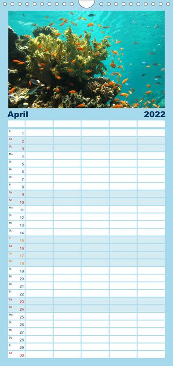 Produktbild: Riffleben - Einfach mal abtauchen - Familienplaner hoch (Wandkalender 2022 , 21 cm x 45 cm, hoch)