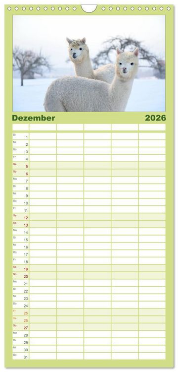 Produktbild: Familienplaner 2026 - Alpakas zum Verlieben mit 5 Spalten (Wandkalender, 21 x 45 cm) CALVENDO