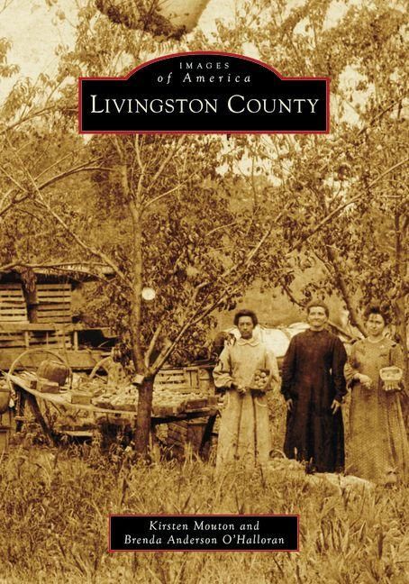 Produktbild: Livingston County