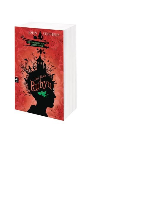 Produktbild: Das Buch Rubyn - Die Chroniken vom Anbeginn