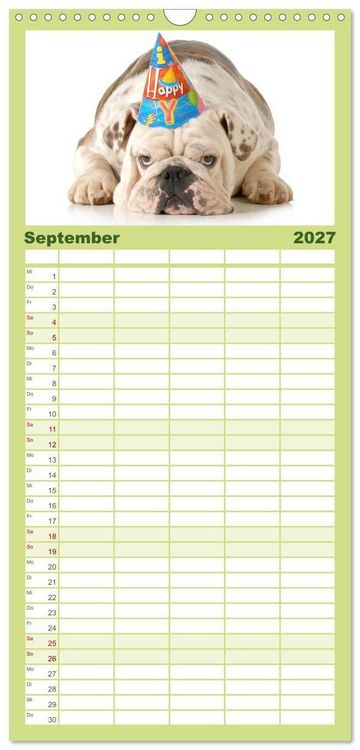 Produktbild: Familienplaner 2027 - English Bulldog XXL Models mit 5 Spalten (Wandkalender, 21 x 45 cm) CALVENDO
