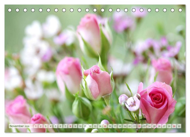 Produktbild: So viele sch&ouml;ne Rosen (Tischkalender 2026 DIN A5 quer), CALVENDO Monatskalender