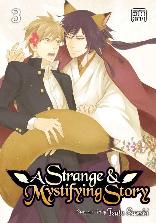 Produktbild: A Strange & Mystifying Story, Vol. 3