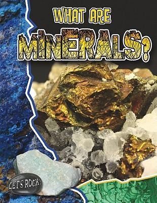 Produktbild: What Are Minerals?