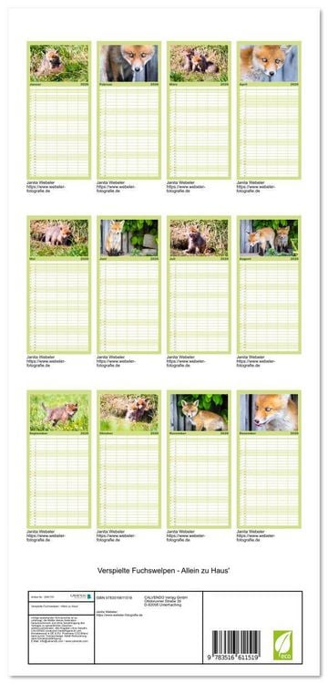 Produktbild: Familienplaner 2026 - Verspielte Fuchswelpen - Allein zu Haus' mit 5 Spalten (Wandkalender, 21 x 45 cm) CALVENDO