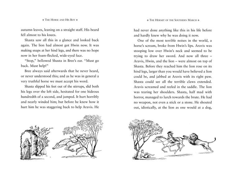 Produktbild: Horse & His Boy_chronicles3 Pb
