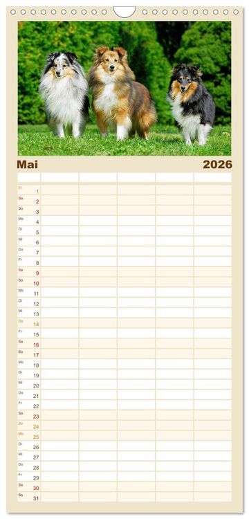 Produktbild: Familienplaner 2026 - Sheltie - Ein St&uuml;ck vom Gl&uuml;ck mit 5 Spalten (Wandkalender, 21 x 45 cm) CALVENDO