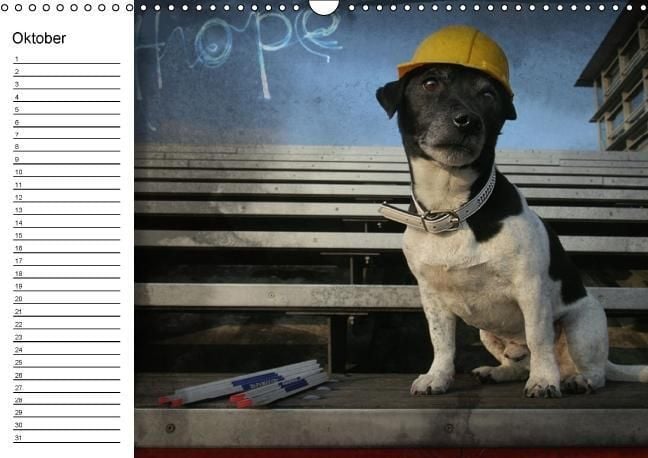 Produktbild: Jack Russell Terrier - Ein Verwandlungsk&uuml;nstler namens Jake / Geburtstagskalender (Wandkalender immerw&auml;hrend DIN A3 quer)