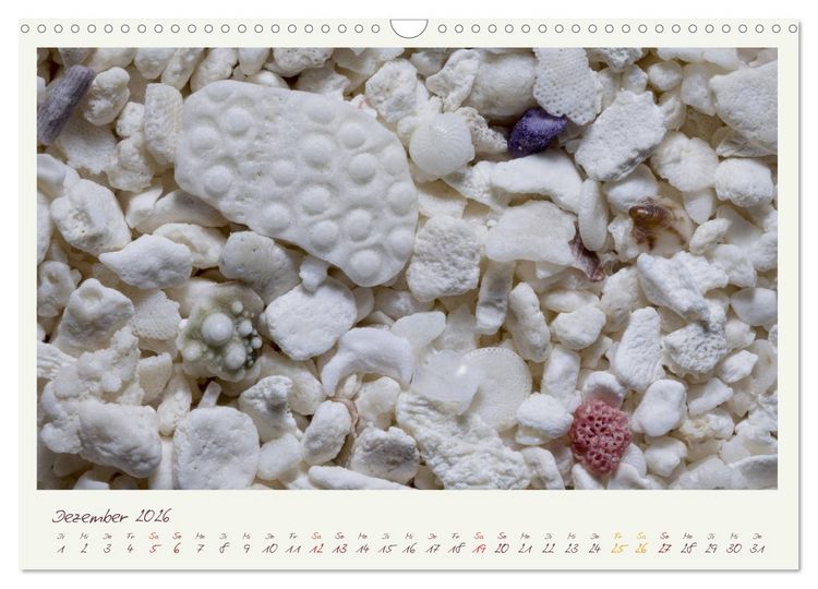 Produktbild: Abenteuer Mikrofotografie Sand (Wandkalender 2026 DIN A3 quer), CALVENDO Monatskalender
