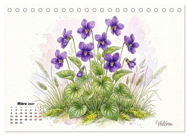 Produktbild: Wilde Kostbarkeiten &ndash; Essbar, gesund & wundersch&ouml;n (Tischkalender 2027 DIN A5 quer), CALVENDO Monatskalender