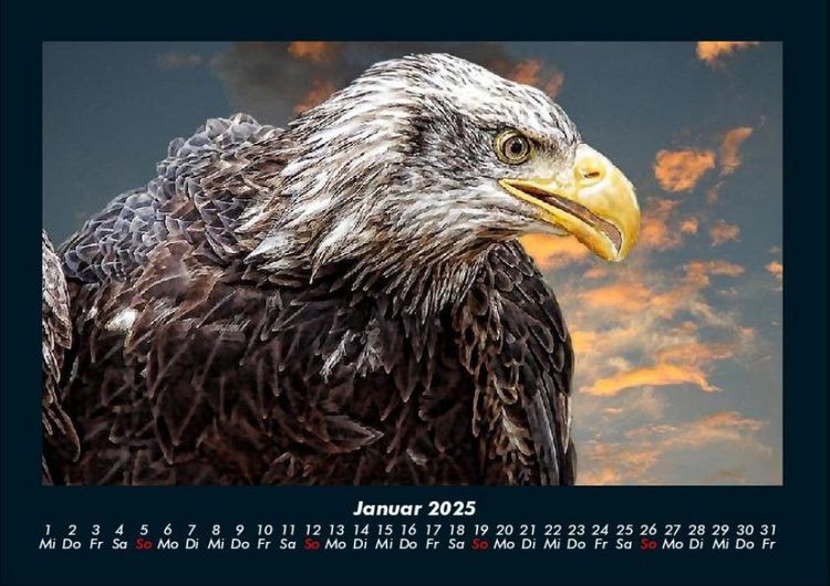 Produktbild: Adler 2025 Fotokalender DIN A4