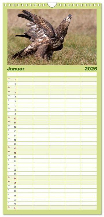Produktbild: Familienplaner 2026 - Seeadler in Polen mit 5 Spalten (Wandkalender, 21 x 45 cm) CALVENDO