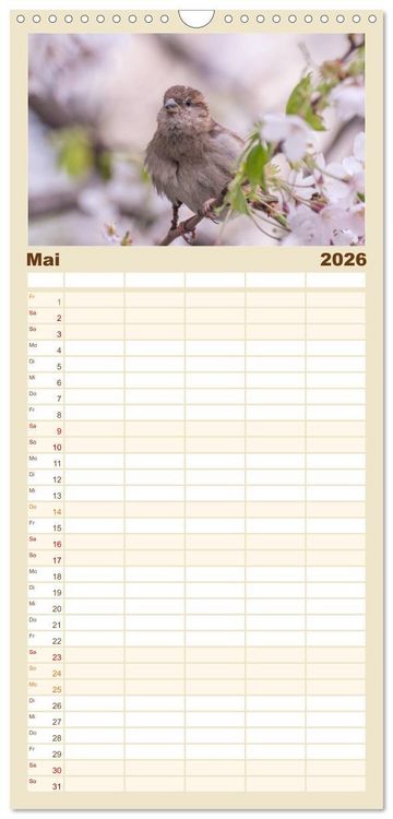 Produktbild: Familienplaner 2026 - Spatzen mit 5 Spalten (Wandkalender, 21 x 45 cm) CALVENDO