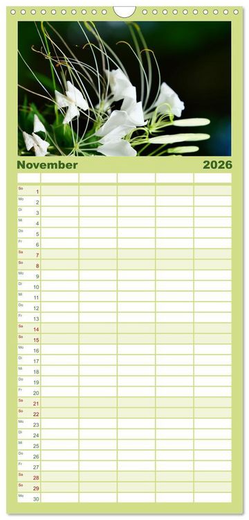 Produktbild: Familienplaner 2026 - Traum Blumen mit 5 Spalten (Wandkalender, 21 x 45 cm) CALVENDO