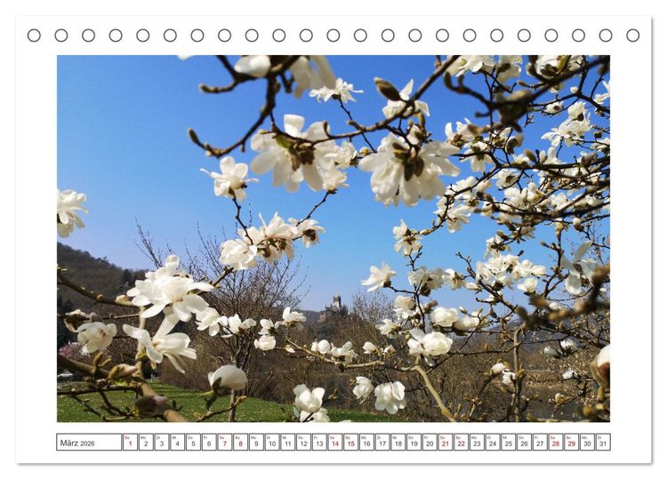 Produktbild: Die Mosel erwacht aus Ihrem Winterschlaf (Tischkalender 2026 DIN A5 quer), CALVENDO Monatskalender