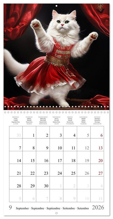 Produktbild: Cute Cats Dancing (Wall Calendar 2026 12 &times; 12 Inch) CALVENDO 12 Month Wall Calendar