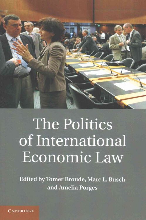 Produktbild: The Politics of International Economic Law
