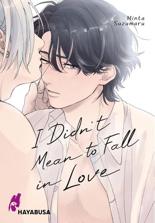 Produktbild: I Didn't Mean to Fall in Love