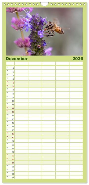 Produktbild: Familienplaner 2026 - Die Wunderwelt der Biene mit 5 Spalten (Wandkalender, 21 x 45 cm) CALVENDO
