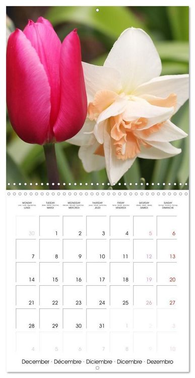 Produktbild: Kruse, G: Printemps toute l'ann&eacute;e (Calendrier mural carr&eacute; 20