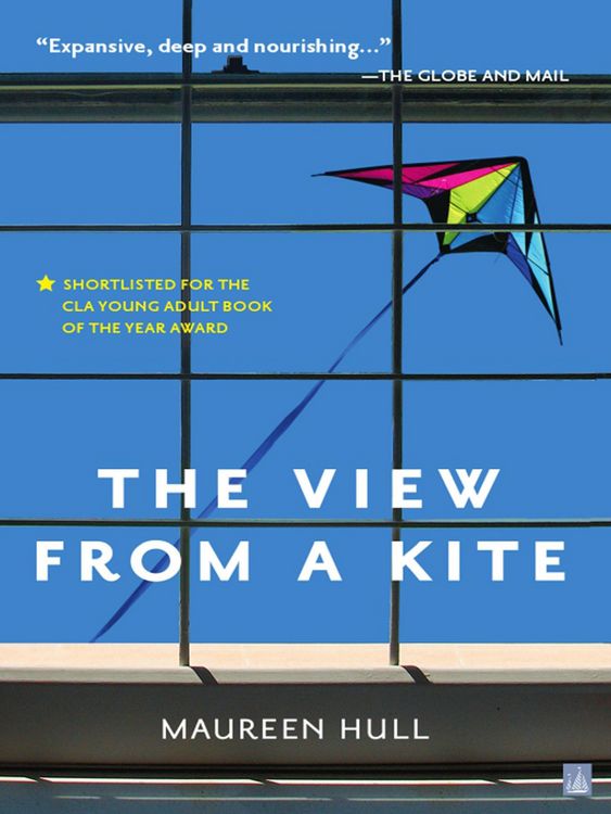 Produktbild: The View From a Kite