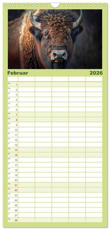 Produktbild: Familienplaner 2026 - Amerikanischer Bison mit 5 Spalten (Wandkalender, 21 x 45 cm) CALVENDO