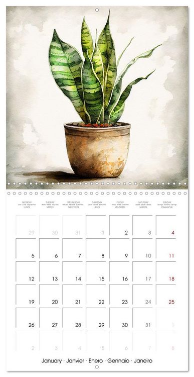 Produktbild: The Art of House Plants (Wall Calendar 2026 12 &times; 12 Inch) CALVENDO 12 Month Wall Calendar