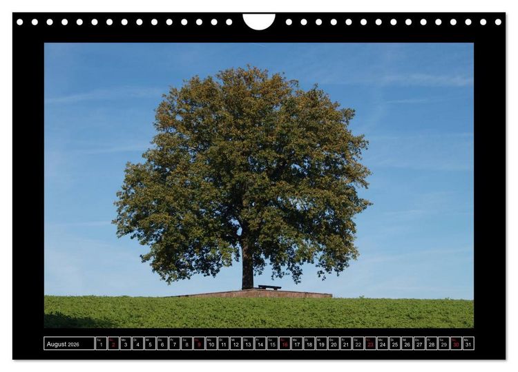 Produktbild: Odenwald - Landschaft sehen (Wandkalender 2026 DIN A4 quer), CALVENDO Monatskalender