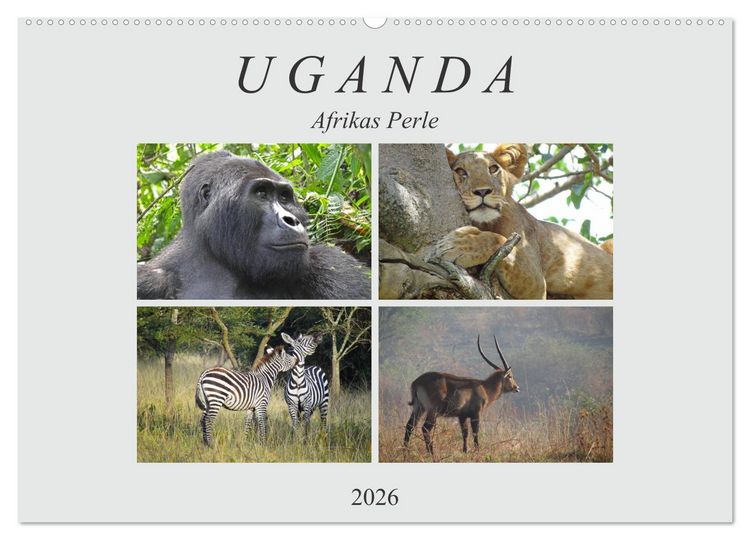 Produktbild: Afrikas Perle Uganda (Wandkalender 2026 DIN A2 quer), CALVENDO Monatskalender
