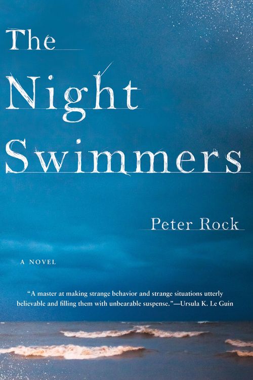 Produktbild: The Night Swimmers