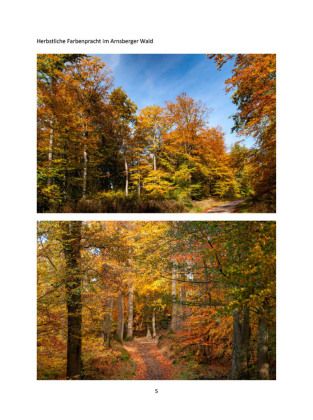 Produktbild: Bilderbuch-Wanderungen im Arnsberger Wald und Umgebung