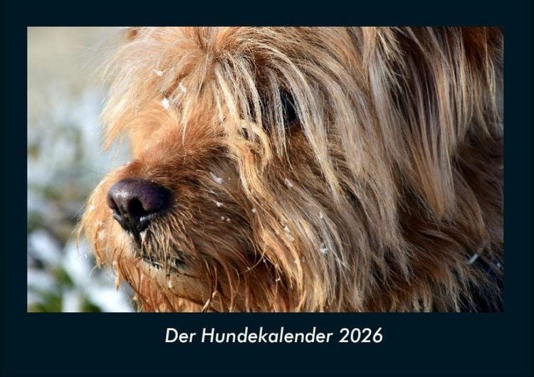 Produktbild: Der Hundekalender 2026 Fotokalender DIN A4
