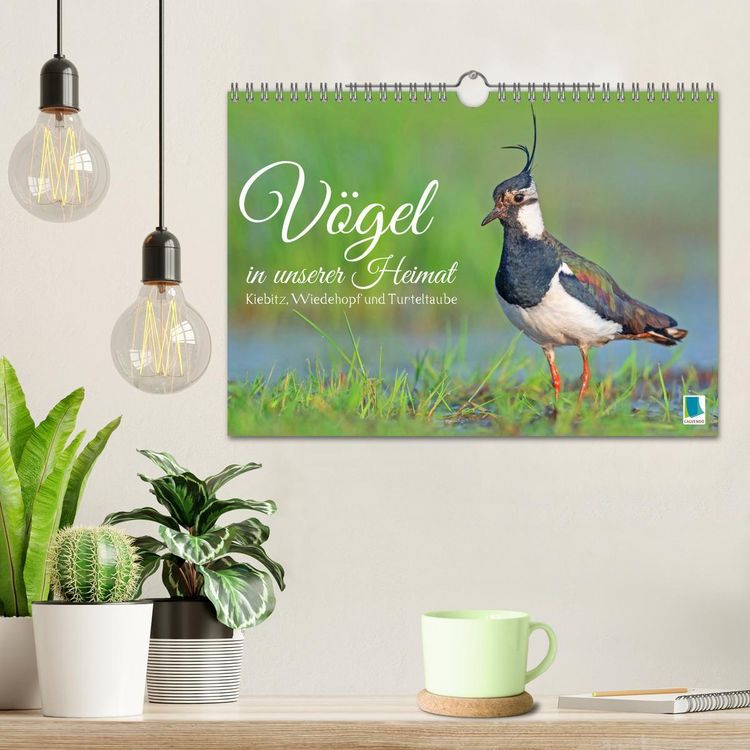 Produktbild: V&ouml;gel in unserer Heimat: Kiebitz, Wiedehopf und Turteltaube (Wandkalender 2026 DIN A4 quer), CALVENDO Monatskalender