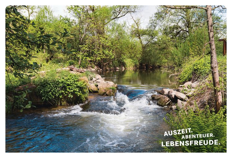 Produktbild: 52 kleine & gro&szlig;e Eskapaden in und um W&uuml;rzburg