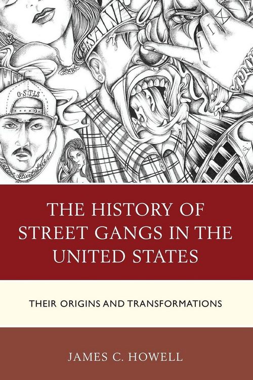 Produktbild: History of Street Gangs in the United States