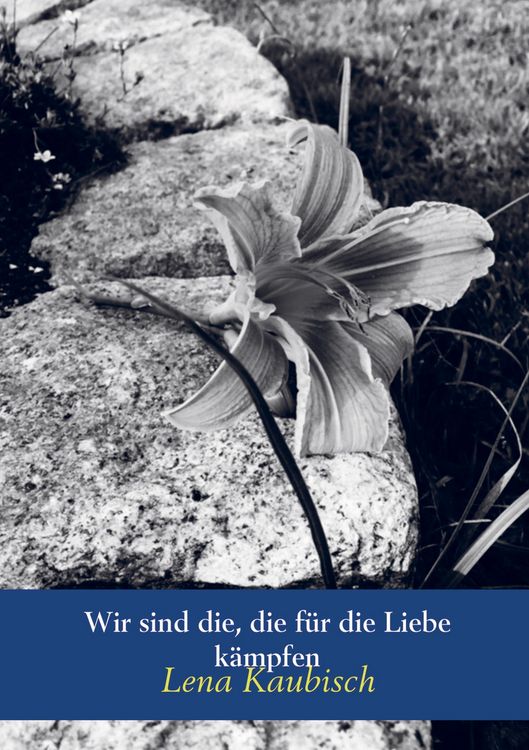 Produktbild: Wir sind die, die f&uuml;r die Liebe k&auml;mpfen