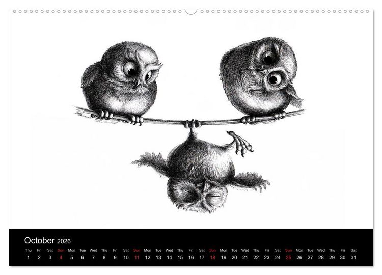 Produktbild: owls & friends 2026 (High Quality Premium Wall Calendar 2026 DIN A2 landscape),CALVENDO 12 Month Wall Calendar