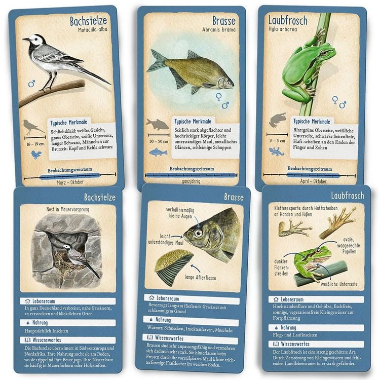 Produktbild: Tour durch die Natur - 50 heimische Tiere am Wasser