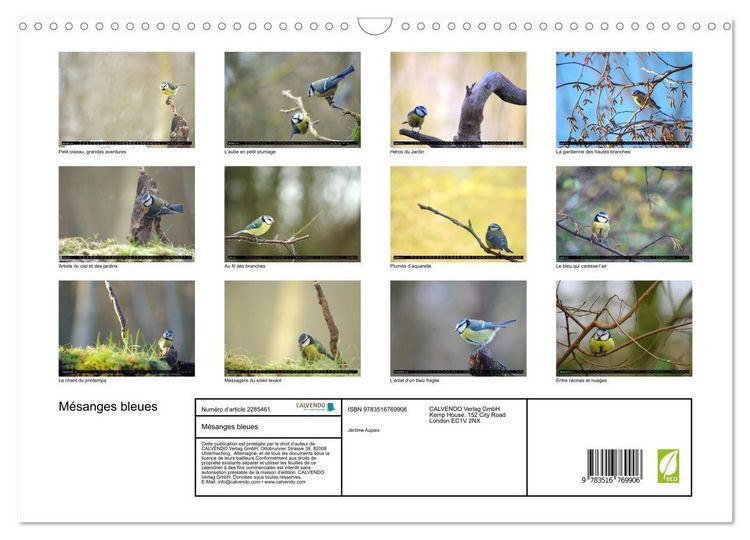 Produktbild: M&eacute;sanges bleues (Calendrier mural 2027 DIN A3 vertical), CALVENDO calendrier mensuel