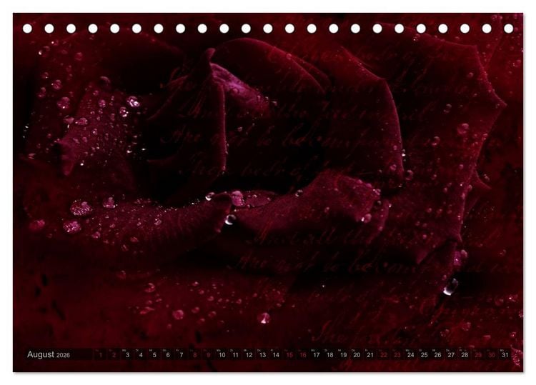 Produktbild: Gothic Rose - Rosen aus dem Garten der Finsternis (Tischkalender 2026 DIN A5 quer), CALVENDO Monatskalender