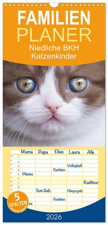 Produktbild: Familienplaner 2026 - Niedliche BKH Katzenkinder mit 5 Spalten (Wandkalender, 21 x 45 cm) CALVENDO