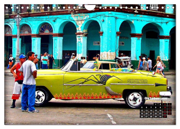 Produktbild: Bunte V&ouml;gel - Originelle Oldtimer in Havanna (Wandkalender 2026 DIN A4 quer), CALVENDO Monatskalender