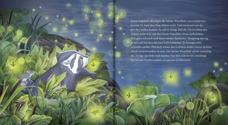 Produktbild: Schlaf gut, kleiner Waschb&auml;r &ndash; ein Bilderbuch f&uuml;r Kinder ab 2 Jahren
