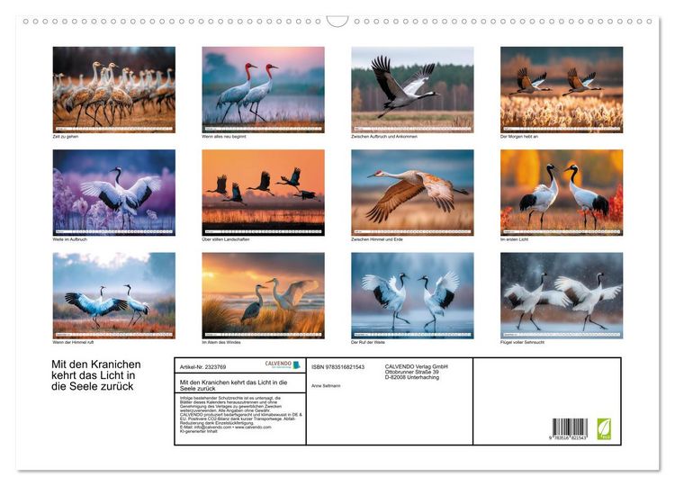 Produktbild: Mit den Kranichen kehrt das Licht in die Seele zur&uuml;ck (Wandkalender 2027 DIN A2 quer), CALVENDO Monatskalender