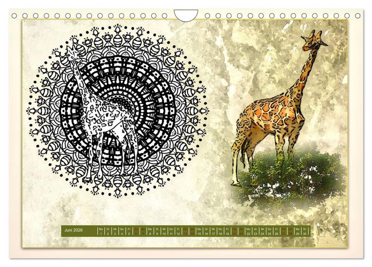Produktbild: Mandalas 2026 - Beruhigende Momente (Wandkalender 2026 DIN A4 quer), CALVENDO Monatskalender