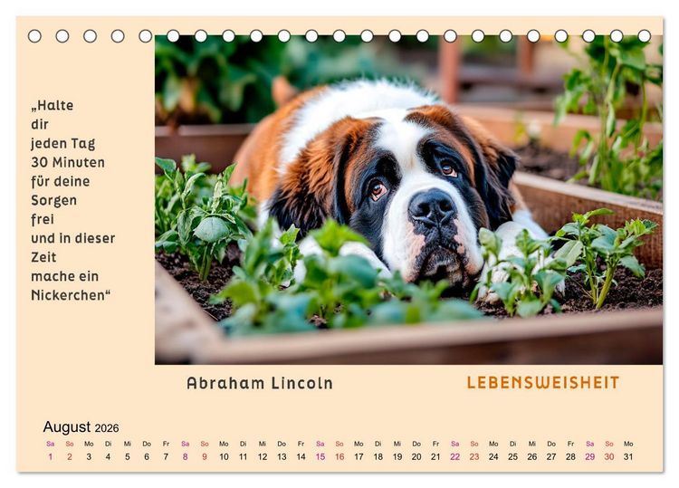 Produktbild: Pfiffig und weise (Tischkalender 2026 DIN A5 quer), CALVENDO Monatskalender