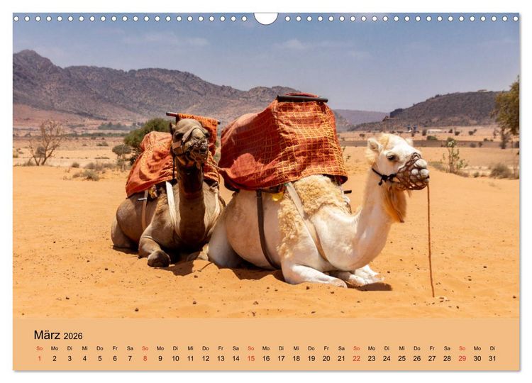 Produktbild: Abenteuer Marokko - eine Reise durch die Region Sous-Massa (Wandkalender 2026 DIN A3 quer), CALVENDO Monatskalender