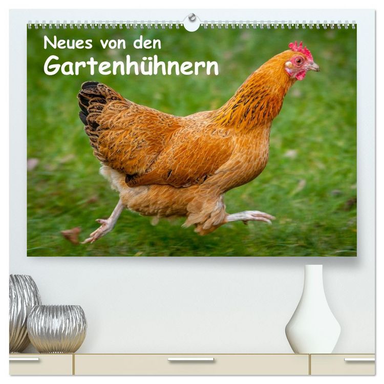 Produktbild: Neues von den Gartenh&uuml;hnern (hochwertiger Premium Wandkalender 2026 DIN A2 quer), Kunstdruck in Hochglanz